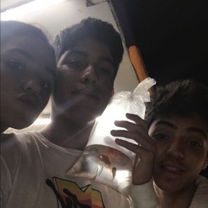 Meet your Posher, Oliver